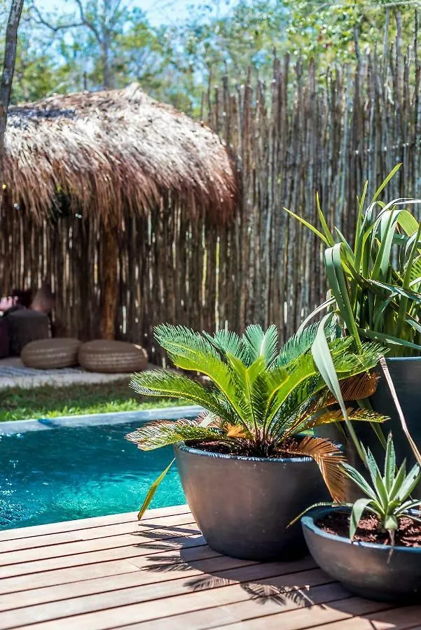 Apartment Sky Jungle 101 - Luum Zama Hotel Tulum