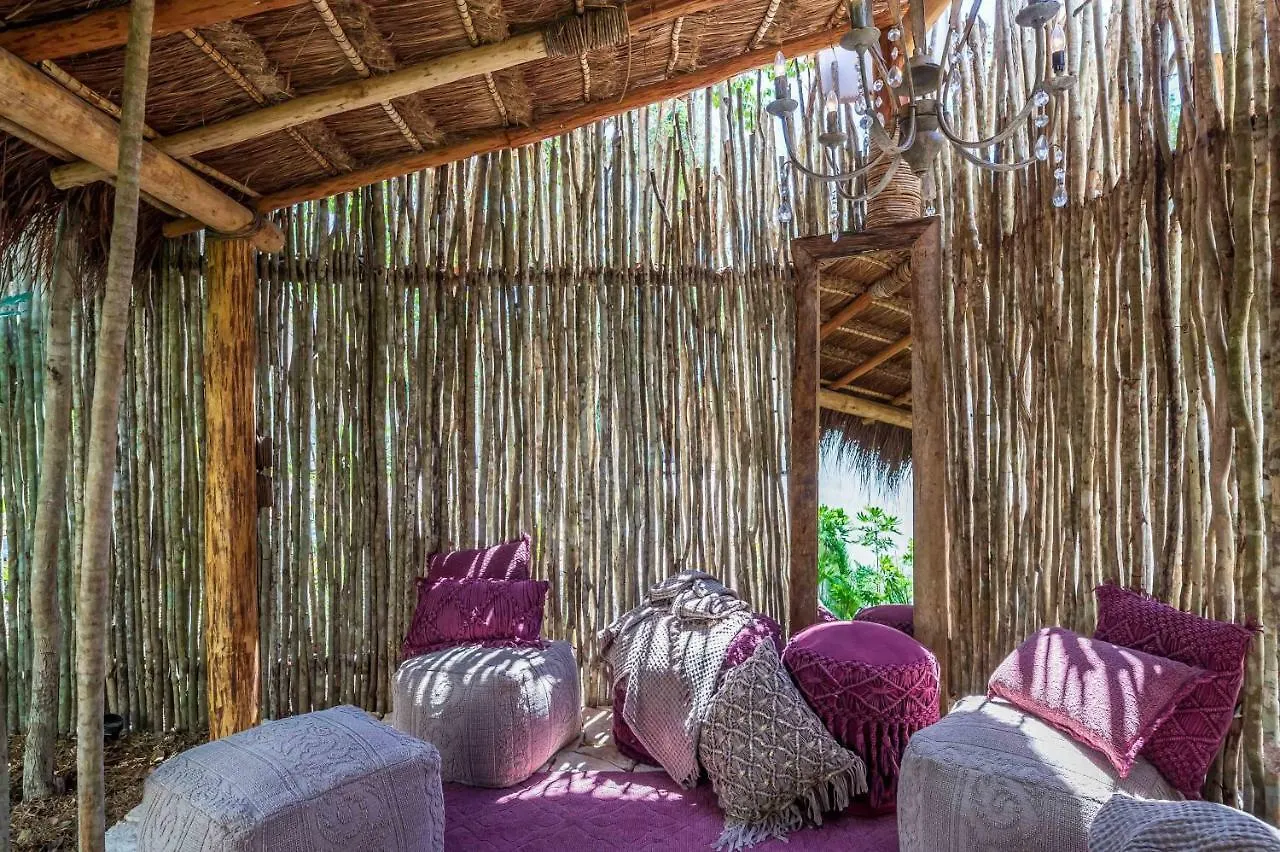 Sky Jungle 101 - Luum Zama Hotel Tulum 0*,  Mexico